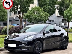 Tesla Model Y Standard Range RWD - ფოტო 1