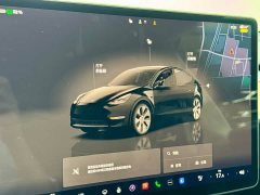 Tesla Model Y 2022 Facelift Rear-Wheel Drive - ფოტო 13