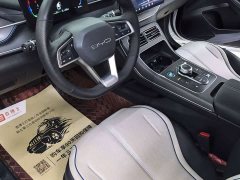 BYD Destroyer 05 Glory Edition DM-i 55KM Luxury - ფოტო 7