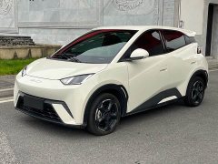 BYD Seagull Freedom Edition - ფოტო 1