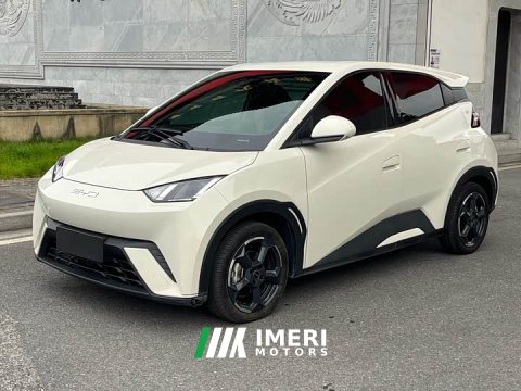 2023 BYD Seagull Freedom Edition - ავტომობილი ჩინეთიდან
