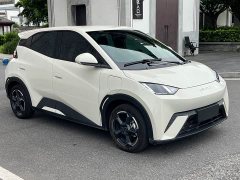 BYD Seagull Freedom Edition - ფოტო 2
