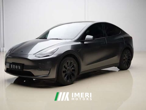 2021 Tesla Model Y Standard Range RWD - ავტომობილი ჩინეთიდან