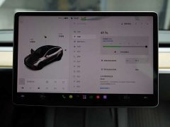 Tesla Model Y Standard Range RWD - ფოტო 18
