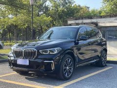 BMW X5 xDrive 30Li Luxury M Sport Package - ფოტო 1