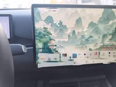 BYD Dolphin 06 DM-i Touring DM-i 150KM Flagship - ფოტო 16