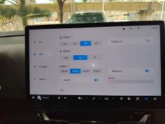 Wuling Starlight 730 New Energy PHEV 125km Luxury - ფოტო 20