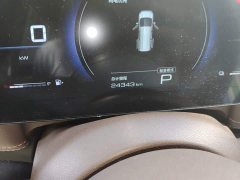 Wuling Starlight 730 New Energy PHEV 125km Luxury - ფოტო 8
