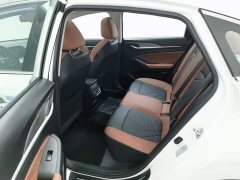 Changan Eado PLUS Blue Whale NE 1.4T GDI DCT High Performance Edition - ფოტო 15