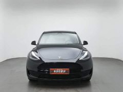 Tesla Model Y Rear-Wheel Drive - ფოტო 3