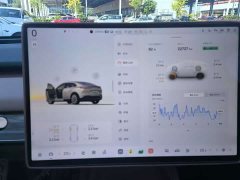 Nio Lerado L60 2025 60kWh Rear-Wheel Drive - ფოტო 16