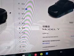 Tesla Model Y Rear-Wheel Drive - ფოტო 6
