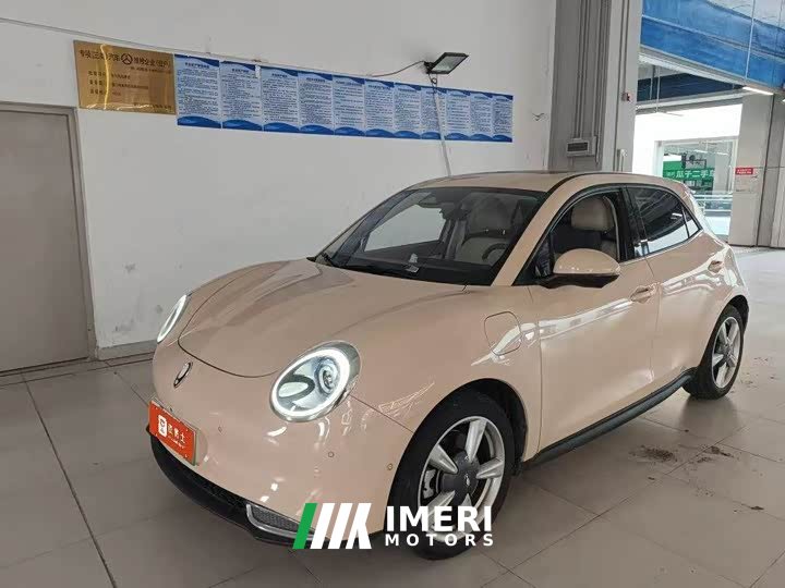 ORA Good Cat 400km Standard Range Athena Edition LFP Battery - ავტომობილი ჩინეთიდან