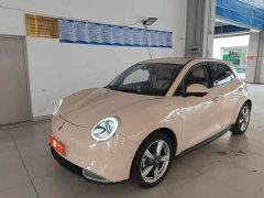 ORA Good Cat 400km Standard Range Athena Edition LFP Battery - ფოტო 1