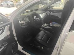Weltmeister WM EX5 2020 EX5-Z Nex Explorer Edition - ფოტო 5