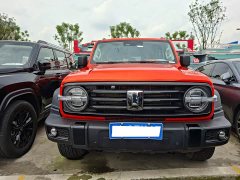 Tank 300 2023 Off-Road Edition 2.0T Challenger - ფოტო 2