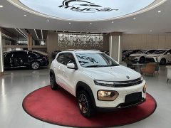 Dongfeng Nano BOX 2022 Chasing Wind 351KM Advanced - ფოტო 3