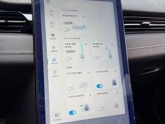 XPeng G3 G3i 520N - ფოტო 9