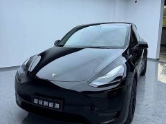 Tesla Model Y Rear-Wheel Drive - ფოტო 2