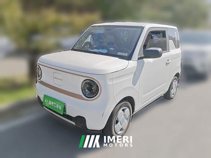 Geely Panda Mini 200km Endurance Edition - ავტომობილი ჩინეთიდან