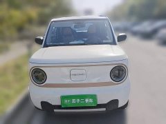 Geely Panda Mini 200km Endurance Edition - ფოტო 2
