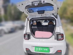 Geely Panda Mini 200km Endurance Edition - ფოტო 20