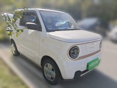Geely Panda Mini 200km Endurance Edition - ფოტო 3