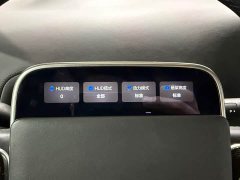 Li Auto L8 2023 Max - ფოტო 16