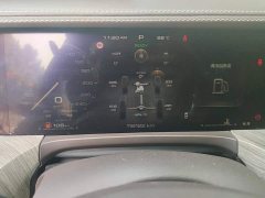 Tank 500 3.0T Business Edition Landscape Trim 5-Seater - ფოტო 13