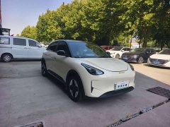 Geely Xing Yuan UP 410km Explorer Edition - ფოტო 2