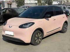 Wuling Binguo 2024 333km Lingxi Connected Edition - ფოტო 1
