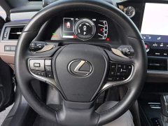 Lexus ES 300h Premium Edition - ფოტო 15