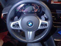 BMW 5 Series 530Li Luxury M Sport Package - ფოტო 15