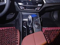 BMW 5 Series 530Li Luxury M Sport Package - ფოტო 16