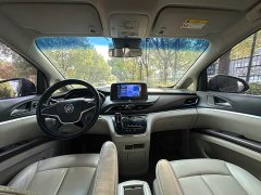 Buick GL8 Land Official Business Class 652T Comfort Edition - ფოტო 10