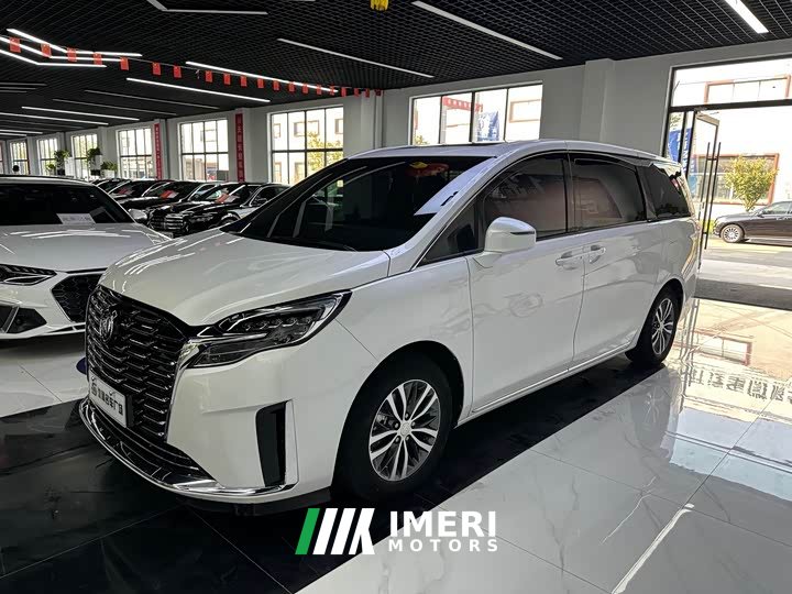 Buick GL8 ES Luxun Luxury Edition