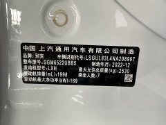 Buick GL8 ES Luxun Luxury Edition - ფოტო 10