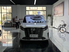 Buick GL8 ES Luxun Luxury Edition - ფოტო 2