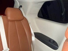 Buick GL8 Land Executive Cabin 652T Luxury - ფოტო 14