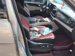 Volkswagen Teramont 380TSI AWD Premium Luxury Edition - ფოტო 8