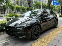 Tesla Model Y Rear-Wheel Drive - ფოტო 1