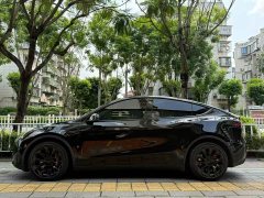 Tesla Model Y Rear-Wheel Drive - ფოტო 3
