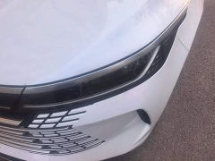 BYD Destroyer 05 2023 Champion Edition DM-i 120KM Luxury - ფოტო 5