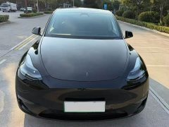 Tesla Model Y Long Range All-Wheel Drive - ფოტო 2