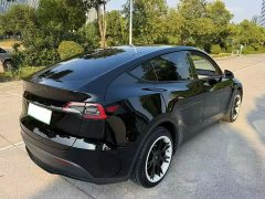 Tesla Model Y Long Range All-Wheel Drive - ფოტო 9