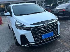 Buick GL8 Land Executive Cabin Premium - ფოტო 3