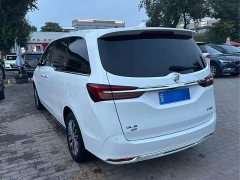 Buick GL8 Land Executive Cabin Premium - ფოტო 6