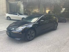 Tesla Model 3 Standard Range RWD Upgrade - ფოტო 1
