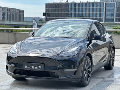 Tesla Model Y Long Range All-Wheel Drive - ფოტო 1