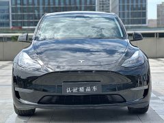 Tesla Model Y Long Range All-Wheel Drive - ფოტო 2